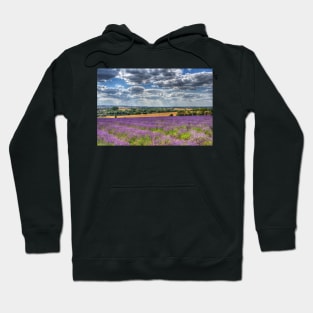 Lavender Farm Hoodie